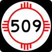 NM-509